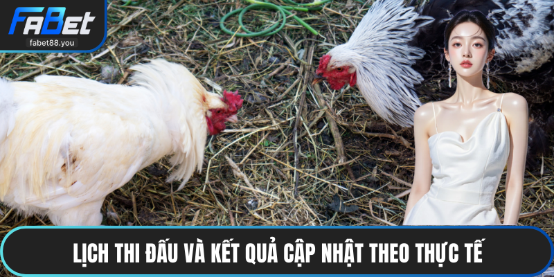 Lịch thi đấu và kết quả cập nhật theo thực tế